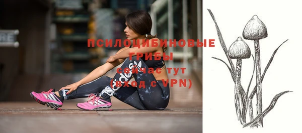 прущие крисы Алексин