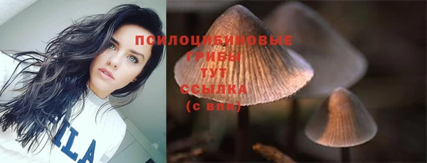 прущие крисы Алексин