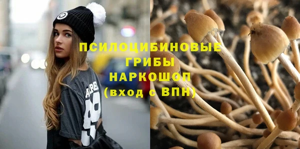 марки nbome Алзамай