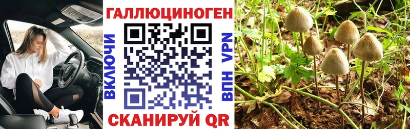 купить наркотики цена  Белоозёрский  kraken рабочий сайт  Галлюциногенные грибы мицелий 